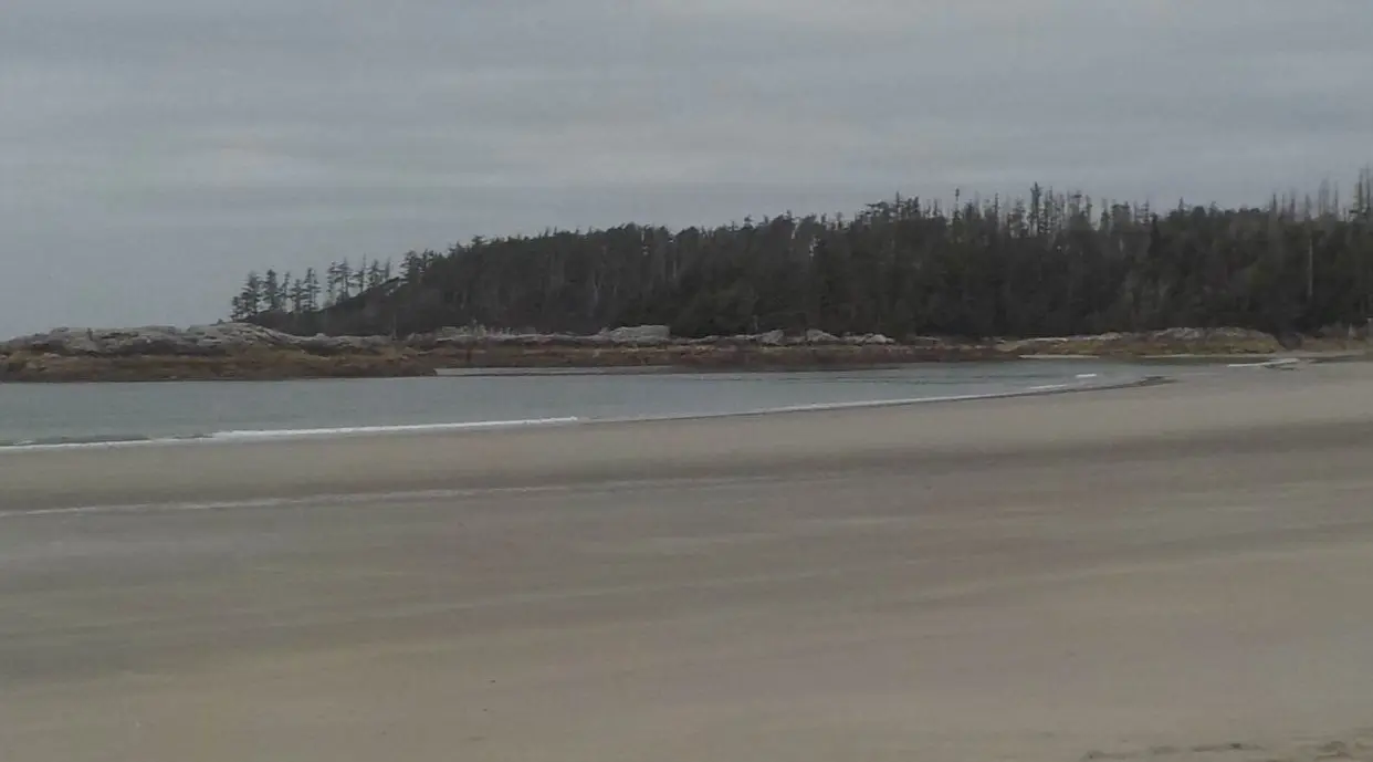 Remote windswept beach Calvert Island
